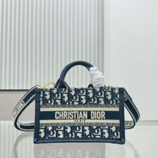 Christian Dior Shopping Bags